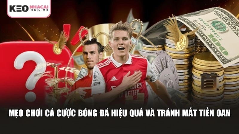 Kinh nghiệm chơi cá cược bóng đá được đúc kết từ những người chơi lâu năm