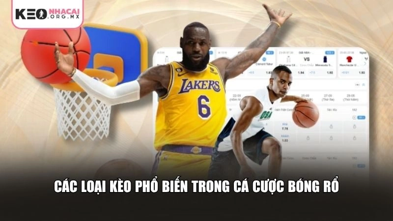 Các hình thức cá cược bóng rổ mà nhà cái cung cấp