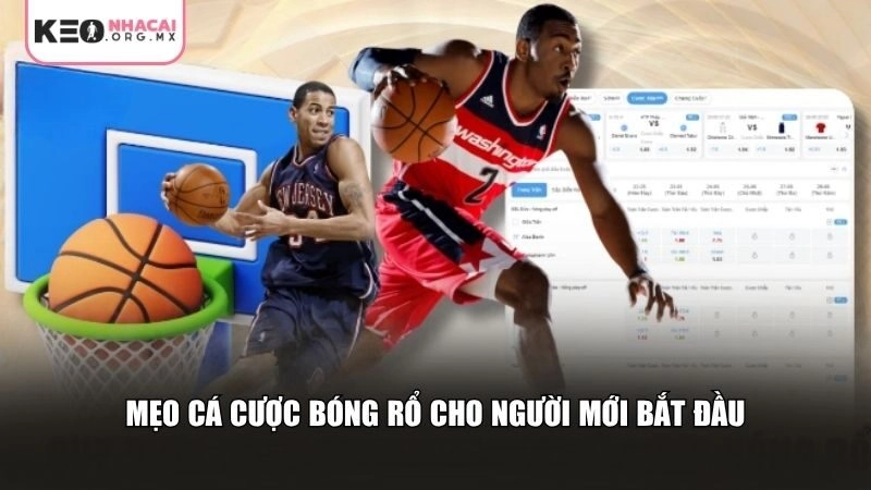 Mẹo cá cược bóng rổ cho người mới bắt đầu