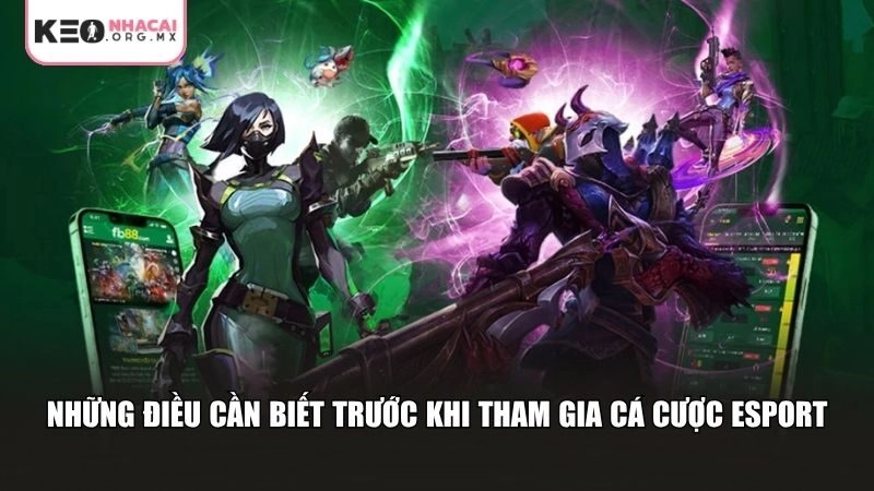 Những điều cần biết trước khi tham gia cá cược Esport