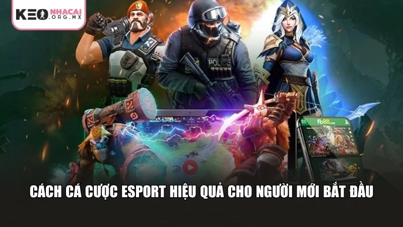 Cách cá cược Esport hiệu quả cho người mới bắt đầu