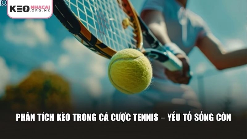 Phân tích kèo trong cá cược tennis
