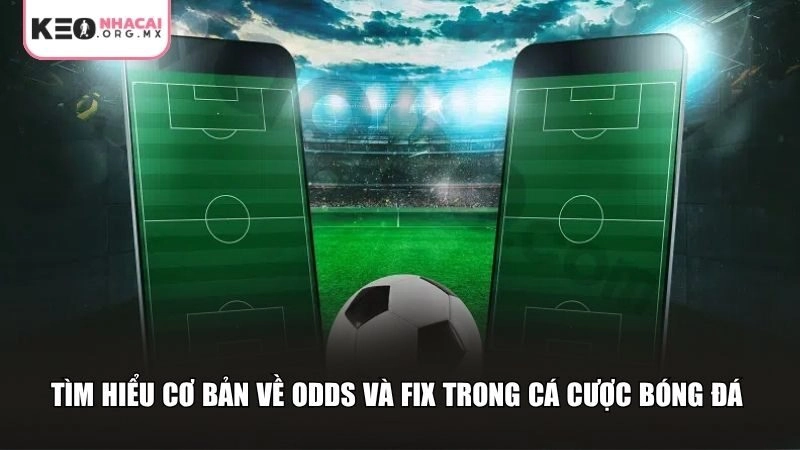 Tìm hiểu cơ bản về Odds và Fix trong cá cược bóng đá