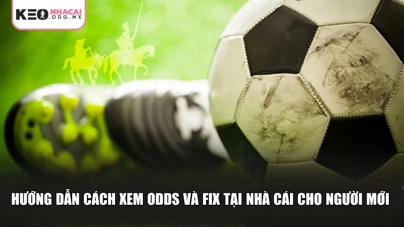 Hướng dẫn cách xem Odds và Fix tại nhà cái cho người mới