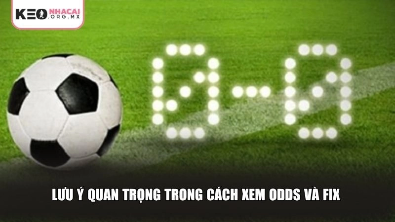 Lưu ý quan trọng trong cách xem Odds và Fix