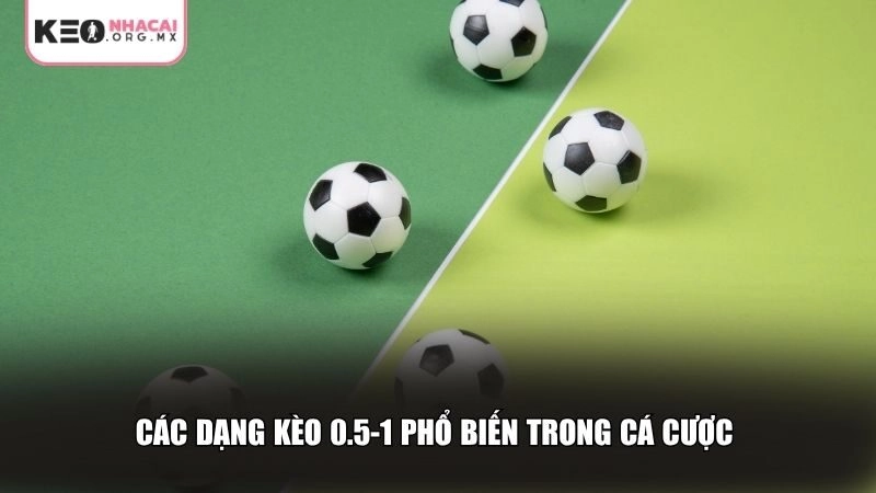 Các dạng kèo 0.5-1 phổ biến trong cá cược