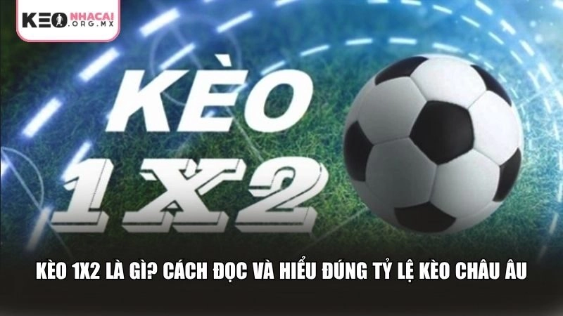 Bản chất kèo 1x2 là gì cùng với cách đọc tỷ lệ