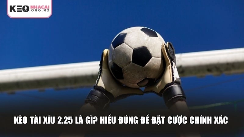 Kèo tài xỉu 2.25 là gì? Hiểu đúng để đặt cược chính xác