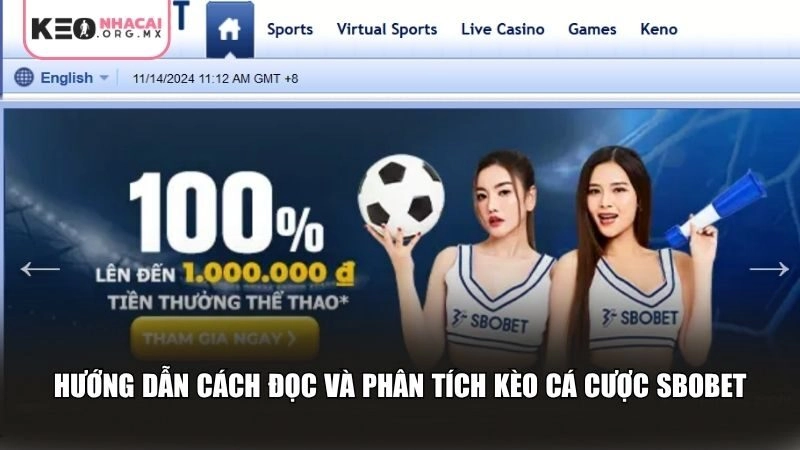 Phân tích bảng kèo cá cược SBOBET là bước bắt buộc để đưa ra quyết định