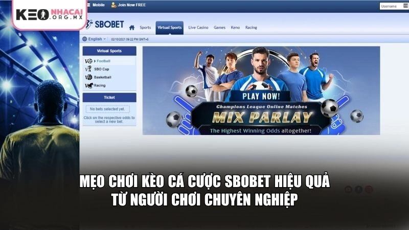 Mẹo chơi kèo cá cược SBOBET hiệu quả