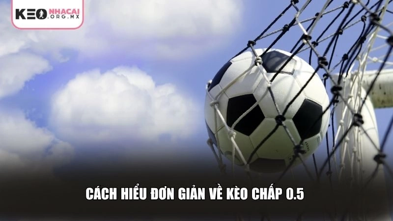 Cách hiểu đơn giản về kèo chấp 0.5