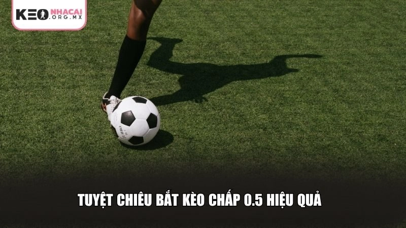Tuyệt chiêu bắt kèo chấp 0.5 hiệu quả từ các tay cược lâu năm