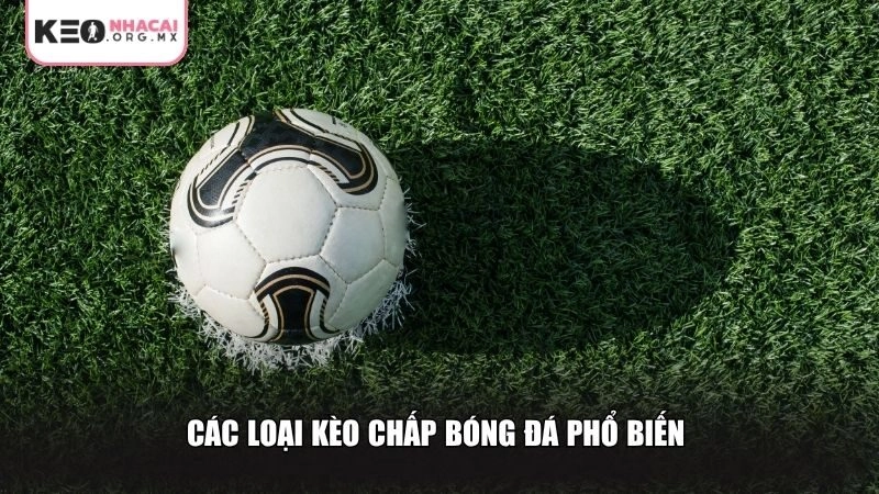 Các mẹo chơi kèo chấp bóng đá từ chuyên gia