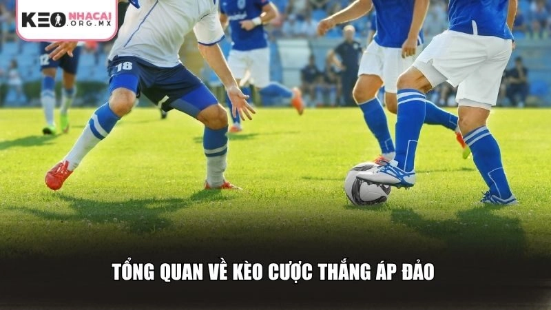 Tổng quan về kèo cược thắng áp đảo