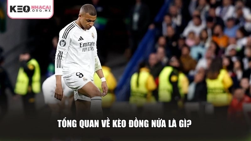 Tổng quan về kèo đồng nửa