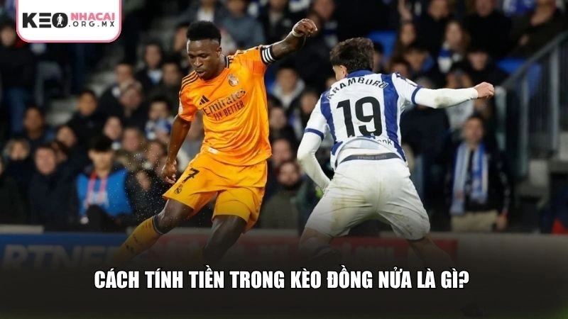 Cách tính tiền trong kèo đồng nửa