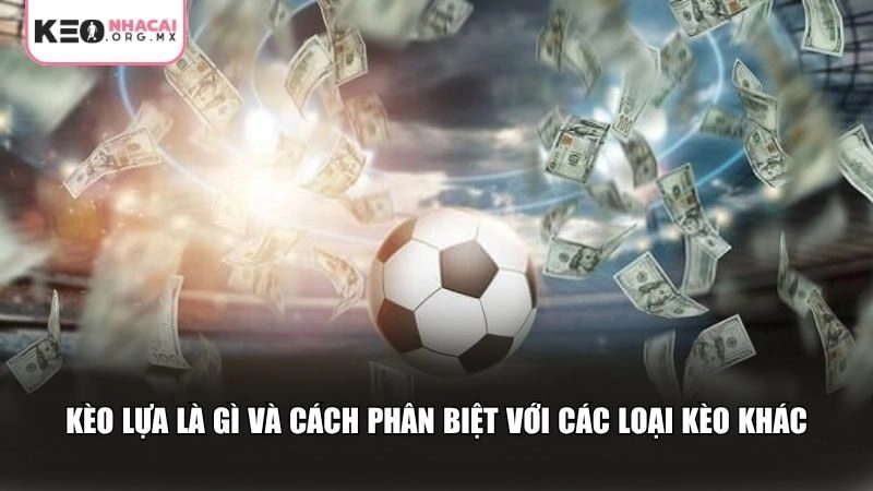 Kèo lựa là gì và cách phân biệt với các loại kèo khác