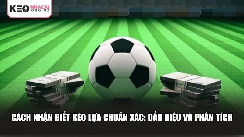Người chơi cần biết cách đọc hiểu kèo lựa và có khả năng phân tích