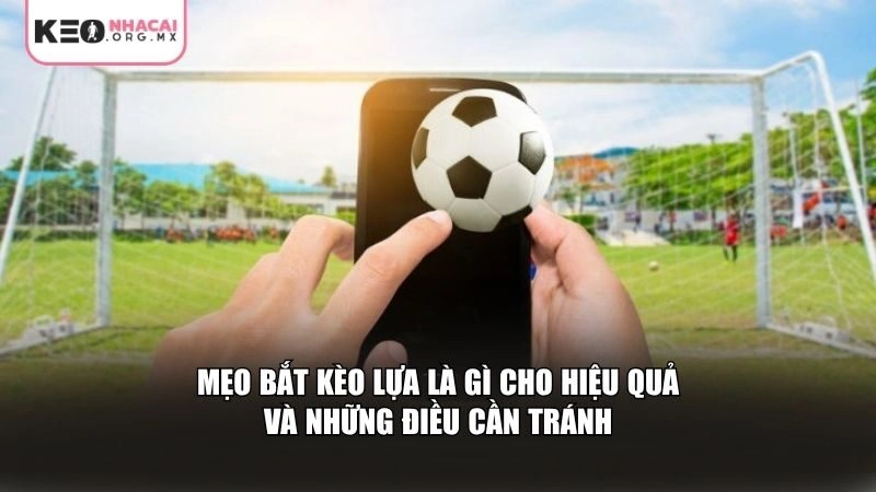 Mẹo bắt kèo lựa là gì cho hiệu quả và những điều cần tránh
