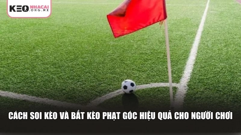 Cách soi kèo và bắt kèo phạt góc hiệu quả cho người chơi