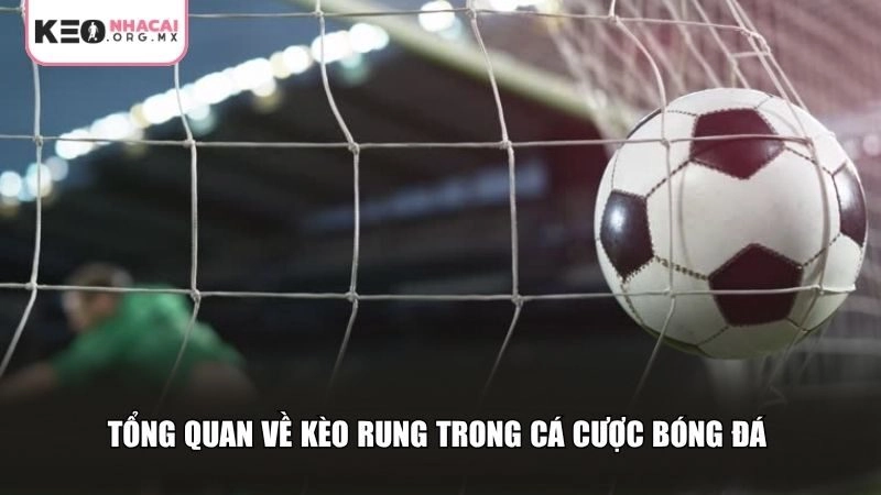 Tổng quan về kèo rung là gì?