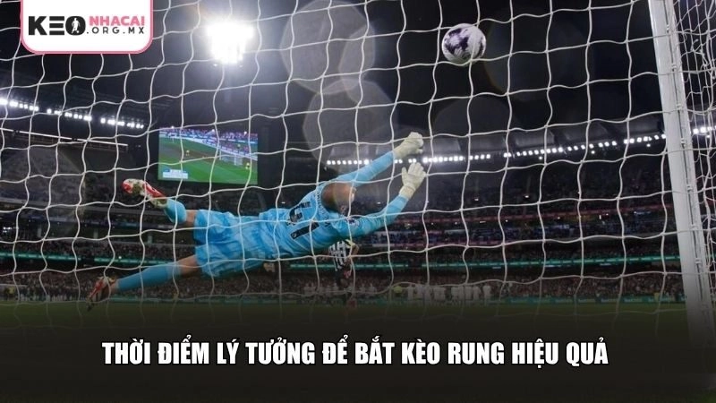 Thời điểm lý tưởng để bắt kèo rung hiệu quả