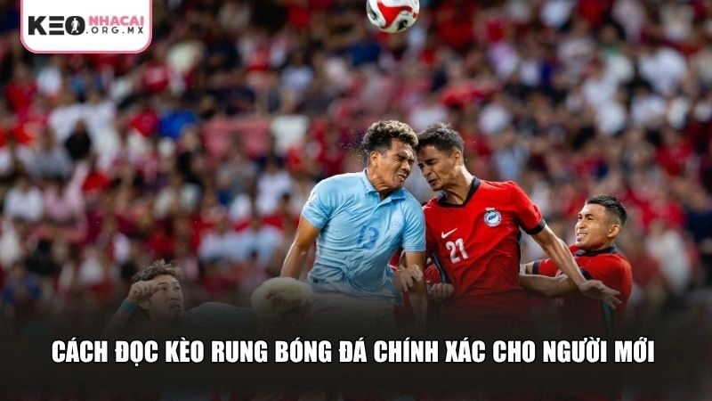 Cách đọc kèo rung bóng đá chính xác cho người mới