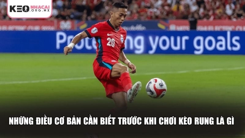Những điều cơ bản cần biết trước khi chơi kèo rung là gì