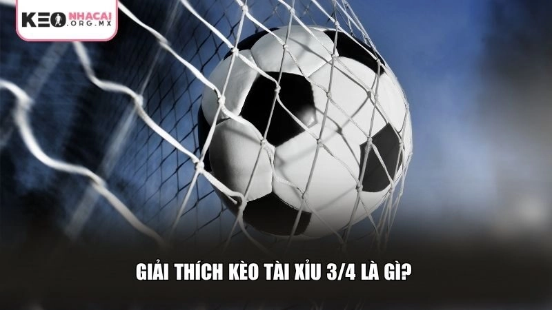Giải thích kèo tài xỉu 3/4 là gì?