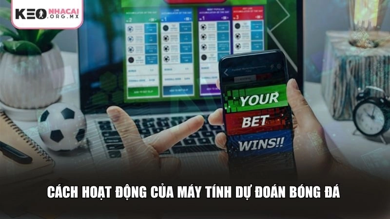Cách thức hoạt động hiện nay của máy tính dự đoán bóng đá