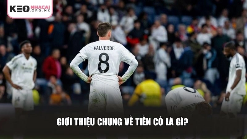 Giới thiệu chung về tiền cỏ là gì
