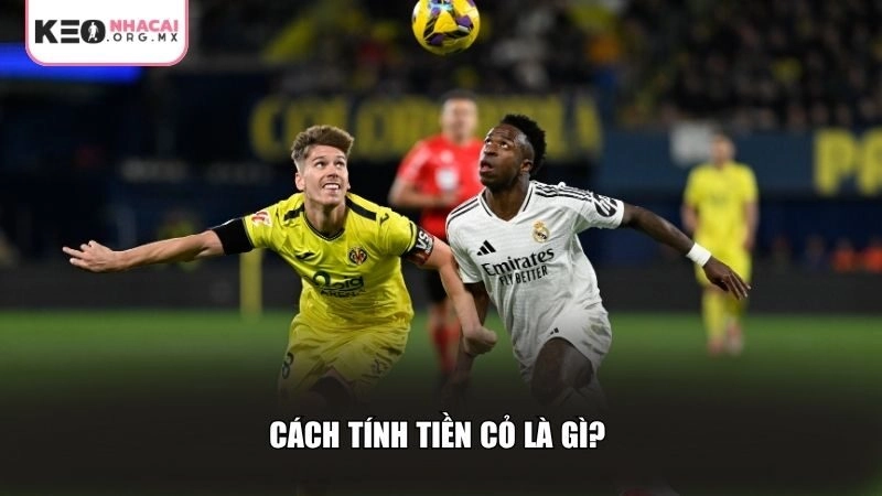 Cách tính tiền cỏ là gì