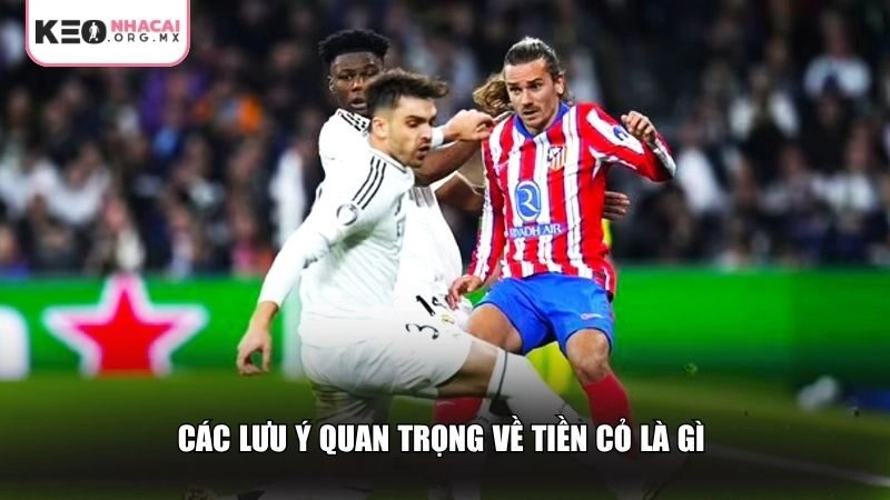 Các lưu ý quan trọng về tiền cỏ là gì