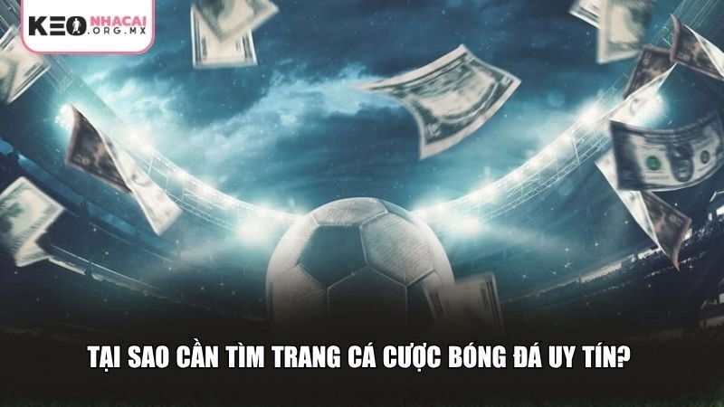 Tại sao cần tìm trang cá cược bóng đá uy tín?