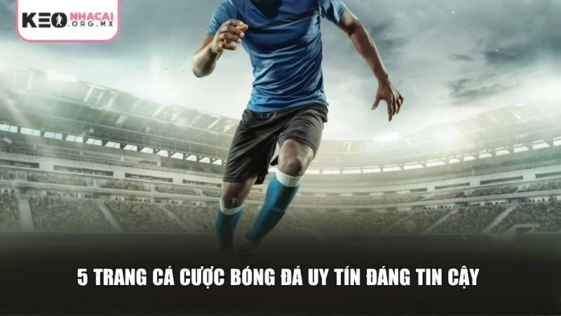 5 trang cá cược bóng đá uy tín đáng tin cậy