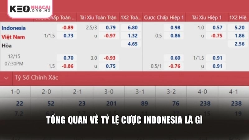 Người chơi nên nắm vững nền tảng lý thuyết tỷ lệ cược Indonesia là gì
