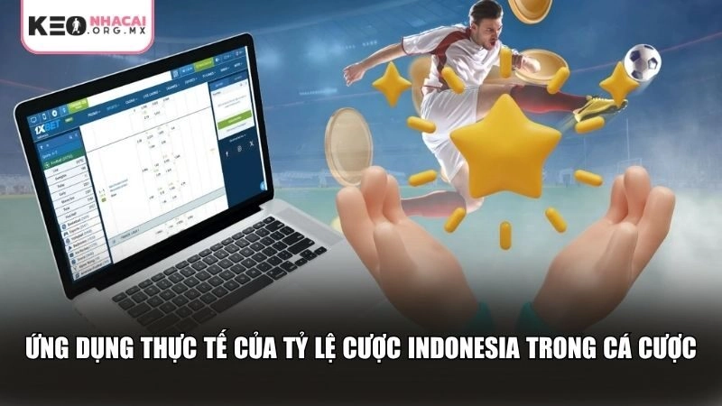 Người chơi cần hiểu cách áp dụng tỷ lệ cược Indonesia trong thực chiến