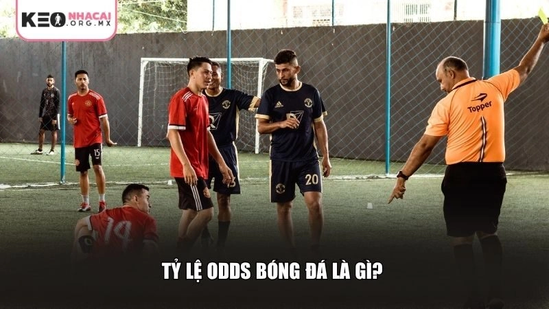 Tỷ lệ Odds bóng đá là gì?