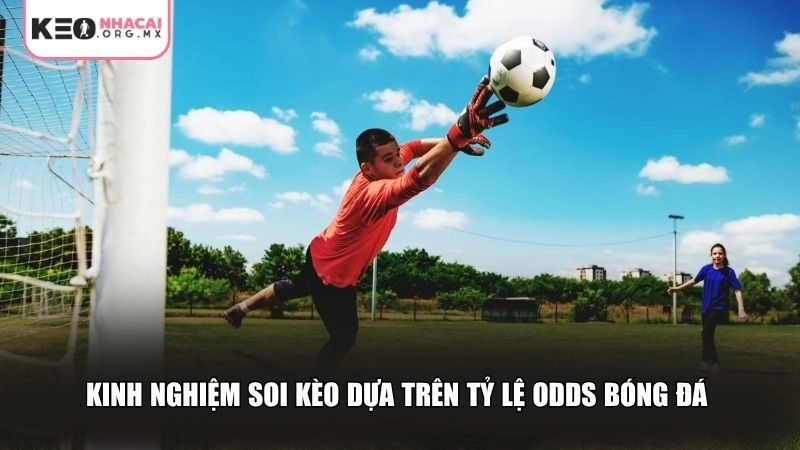 Kinh nghiệm soi kèo dựa trên tỷ lệ Odds bóng đá