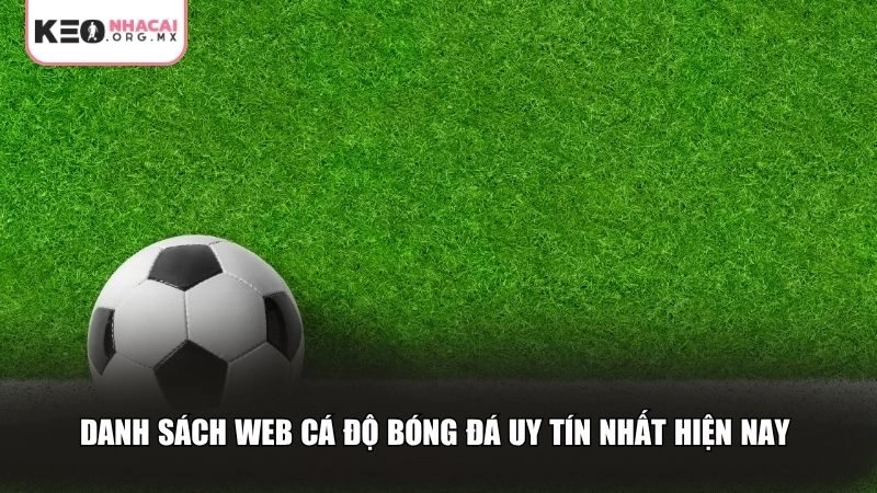 Danh sách web cá độ bóng đá uy tín nhất hiện nay