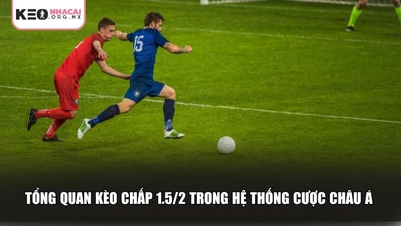 Tổng quan kèo chấp 1.5/2 trong cá cược