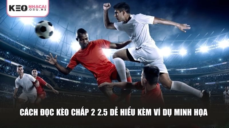 Cách đọc kèo chấp 2 2.5 là gì dễ hiểu