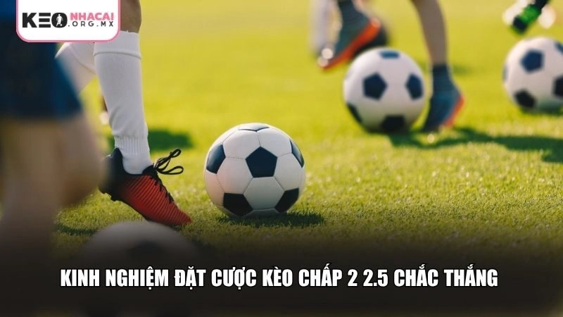 Kinh nghiệm đặt cược kèo chấp 2 2.5 là gì