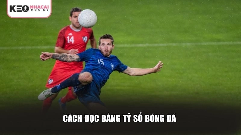 Cách đọc bảng tỷ số bóng đá