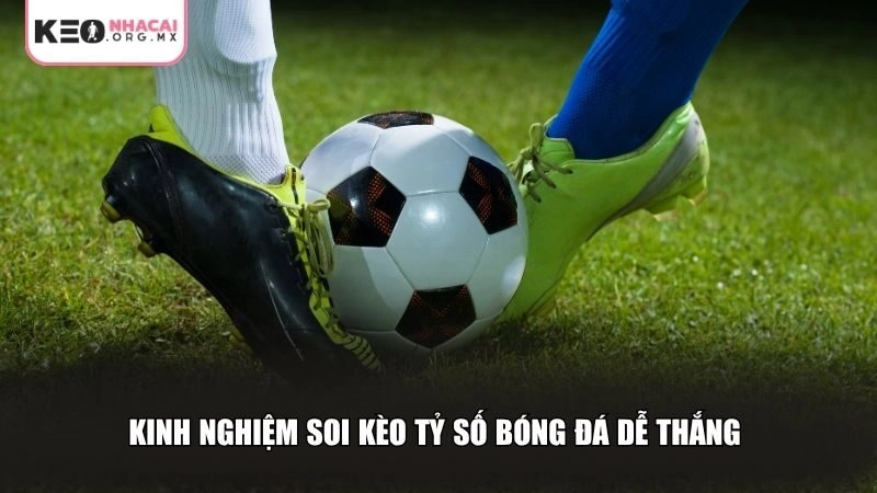 Kinh nghiệm soi kèo tỷ số bóng đá dễ thắng